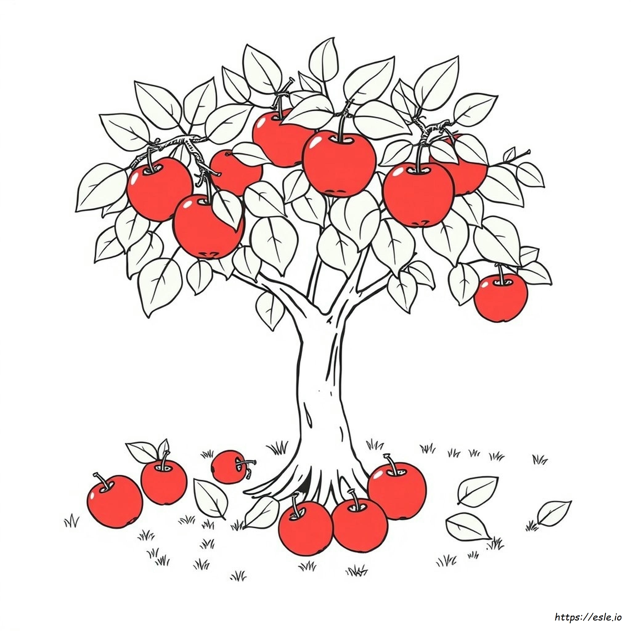 Apple Sketch For Colouring