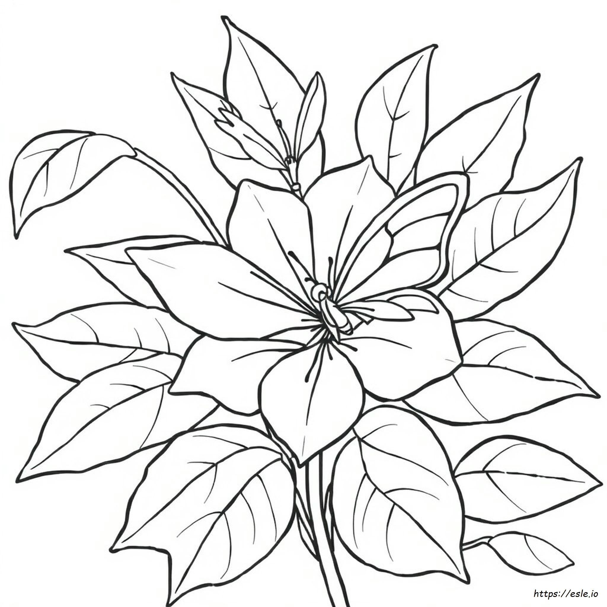 Flower Beautiful Butterfly Coloring Pages
