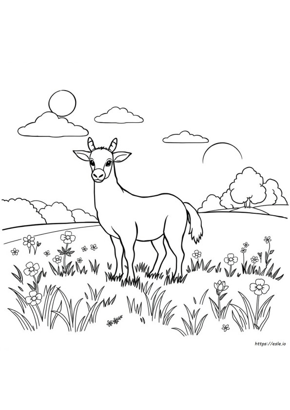 Coloriages Animaux Fantaisie