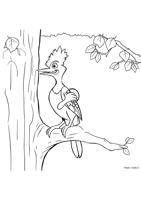 Woody Woodpecker Kolorowanki Z Filmu