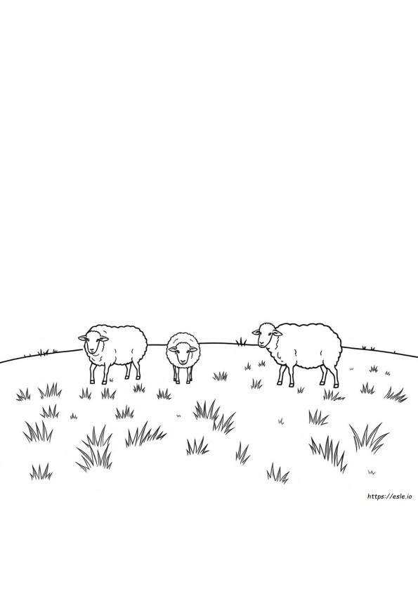 Coloriage Mouton Facile