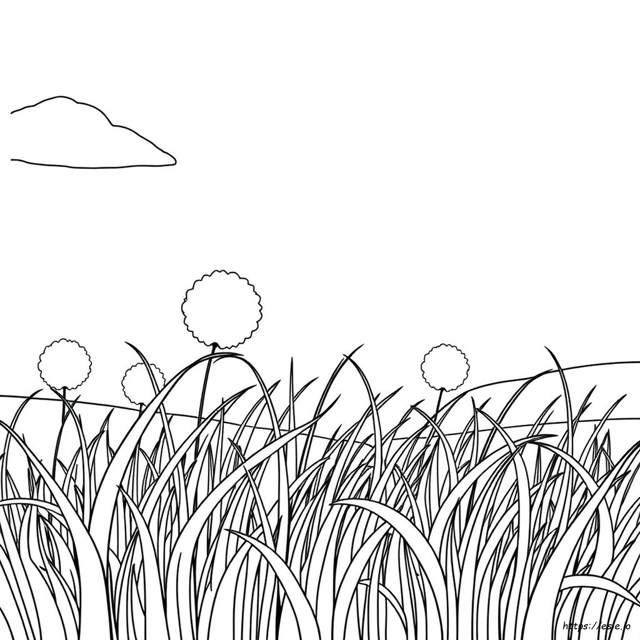 Colouring Picture Of Grass