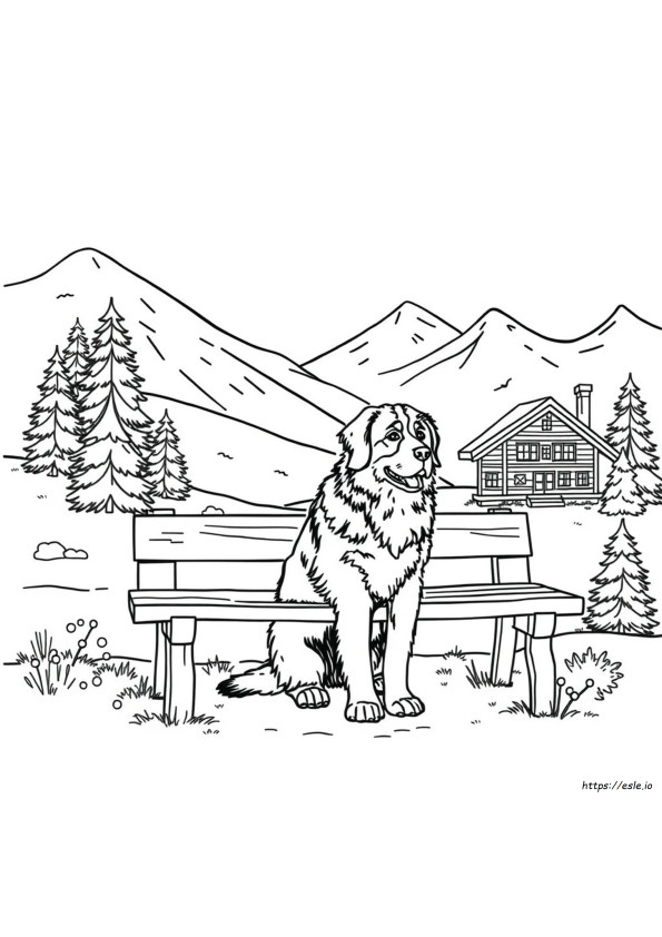 Bernese Mountain Dog Coloring
