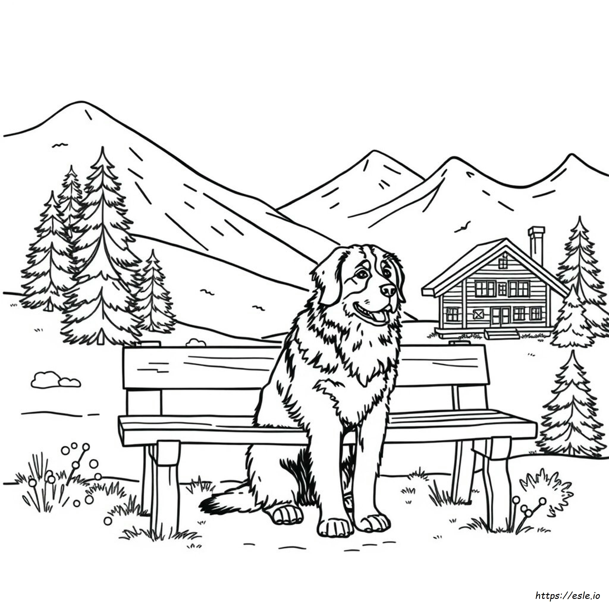 Bernese Mountain Dog Coloring