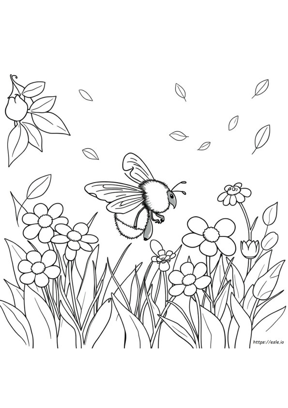 Páginas Para Colorear Gratis De Abejas Zángano