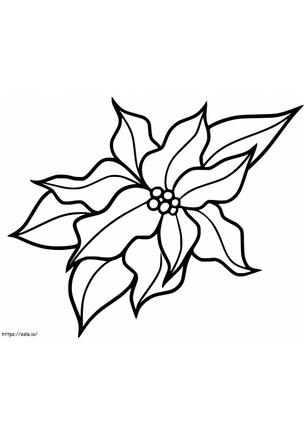 Coloriage Fleur de Noël Poinsettia à imprimer dessin