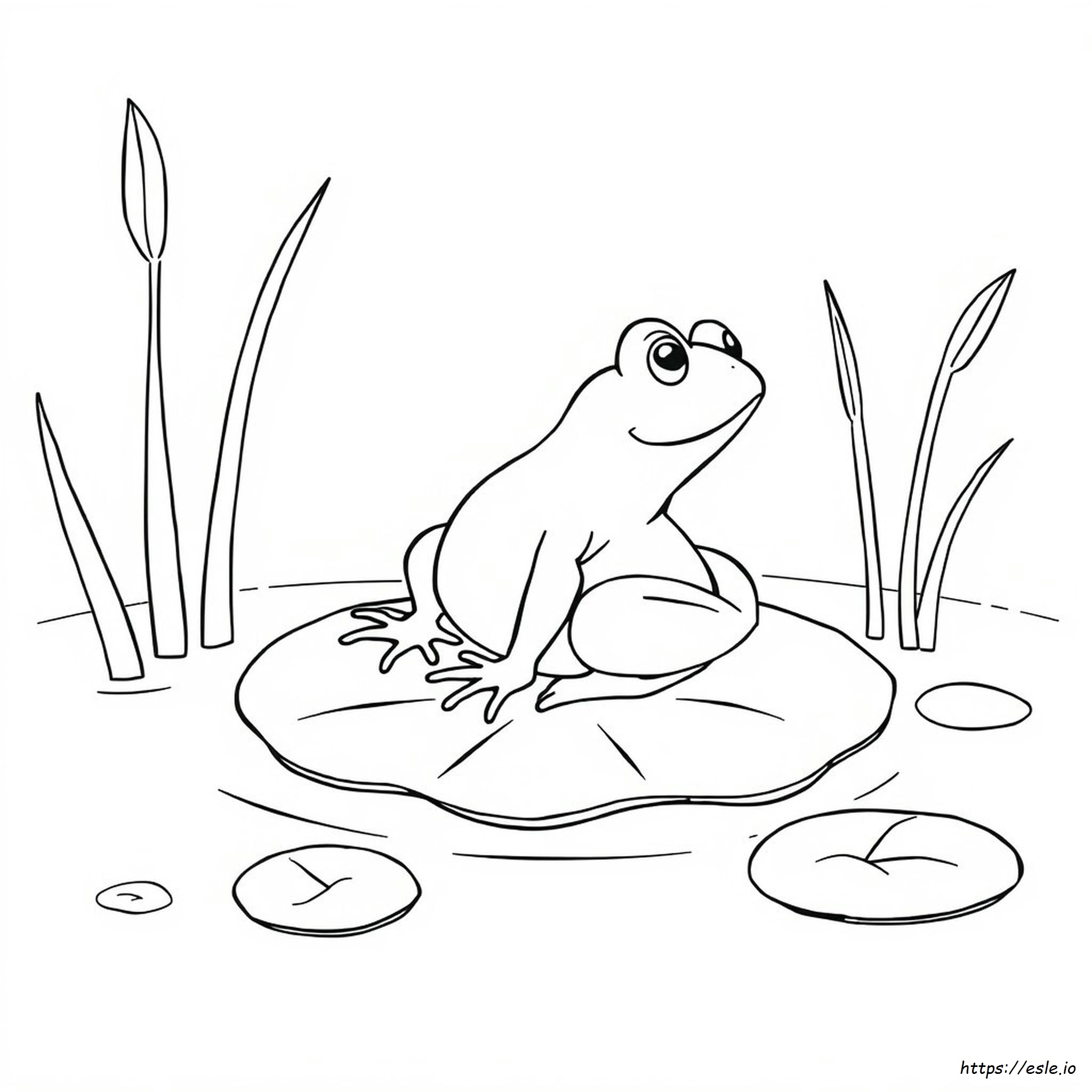 Coloring Sheet Of A Frog