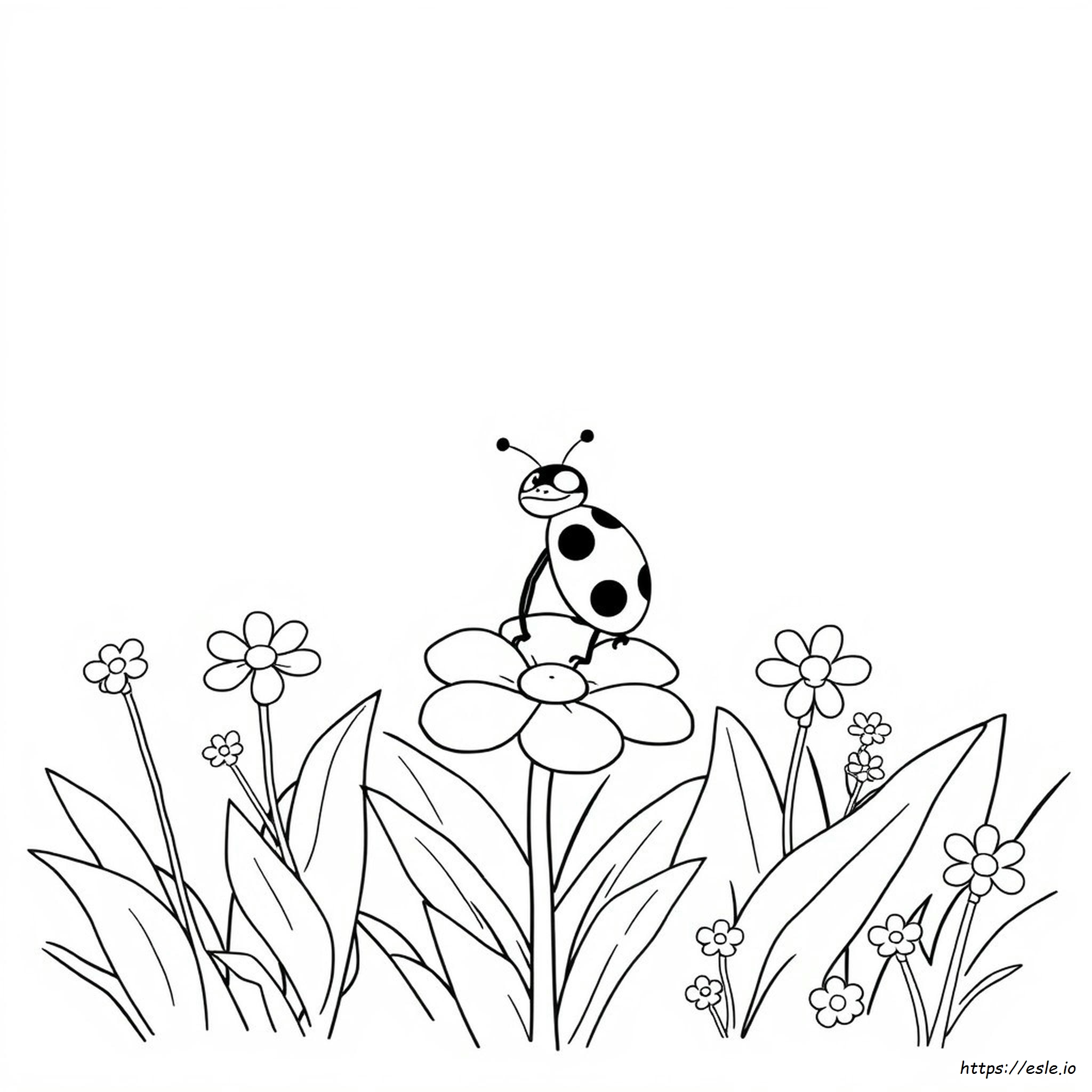 Lady Bug Cartoon Coloring Pages