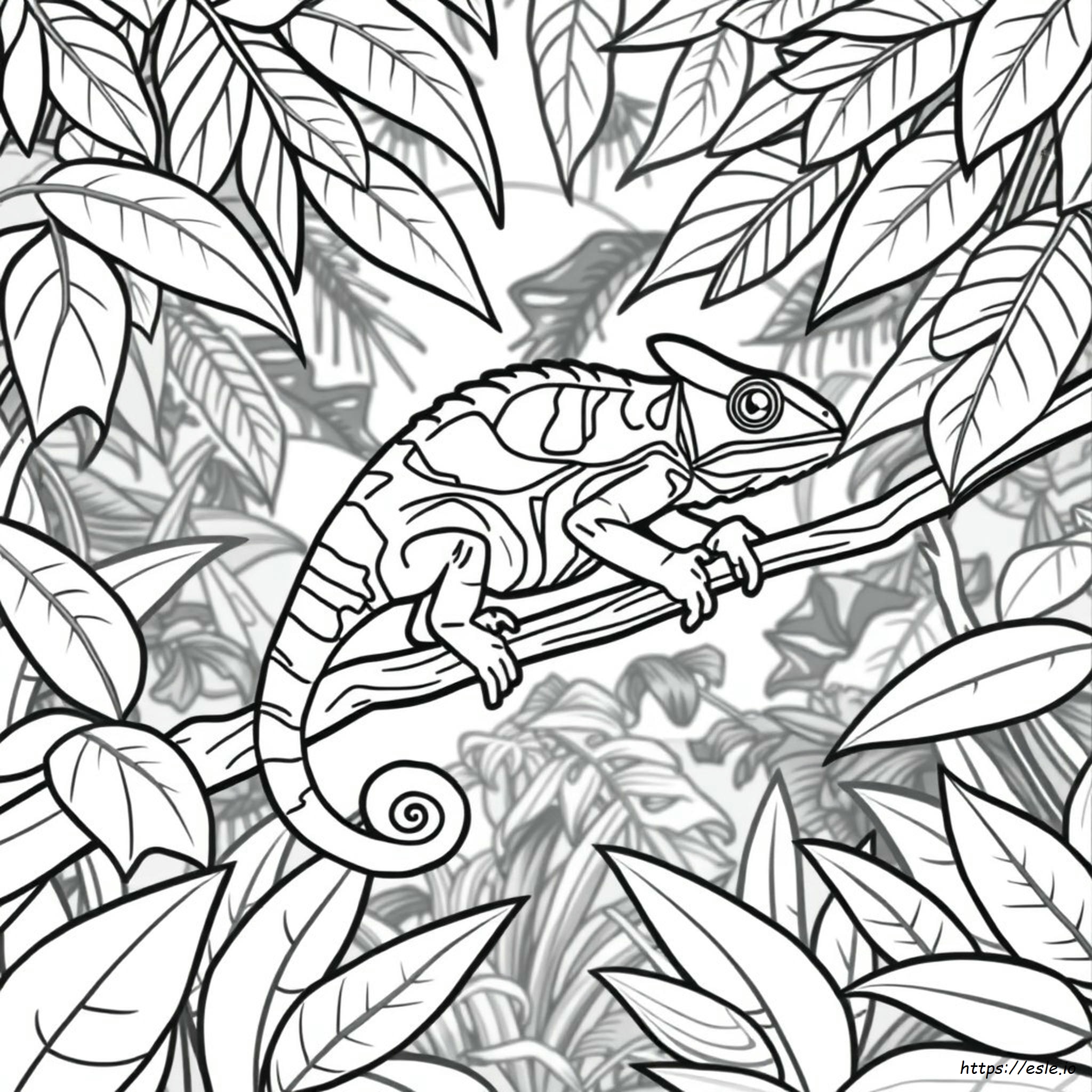 Chameleon Coloring Page