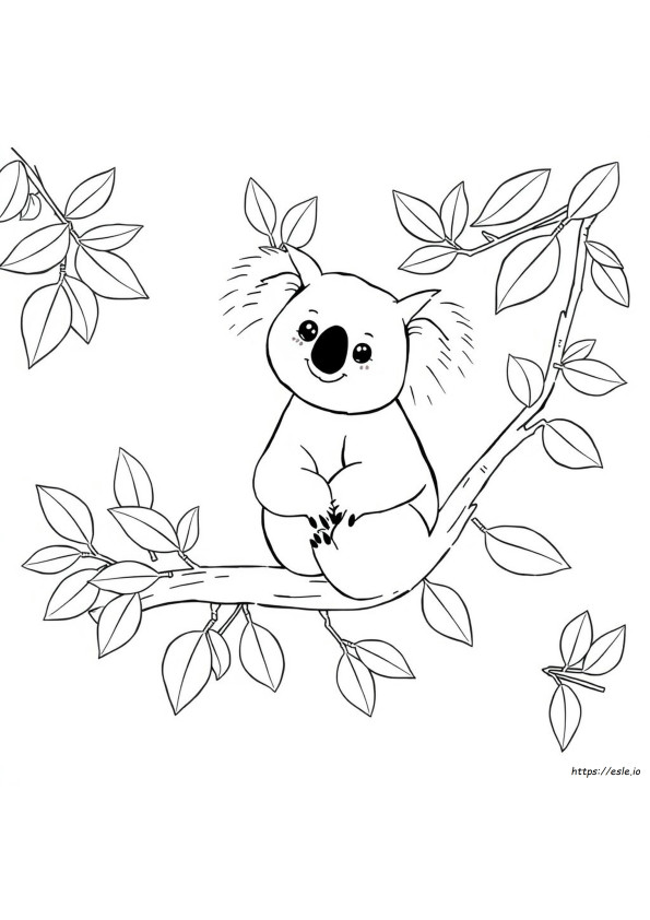 Koala Boyama Resimleri