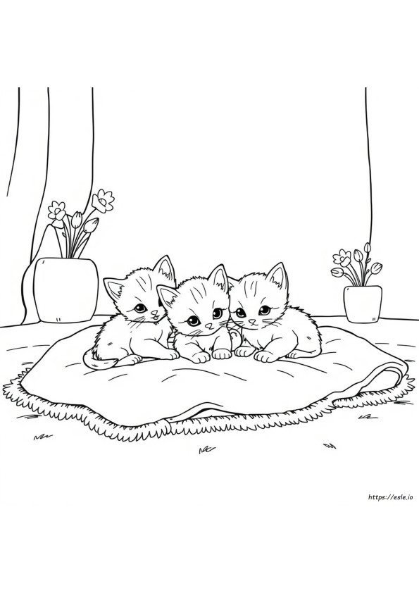 Kleurplaten Van Schattige Kittens