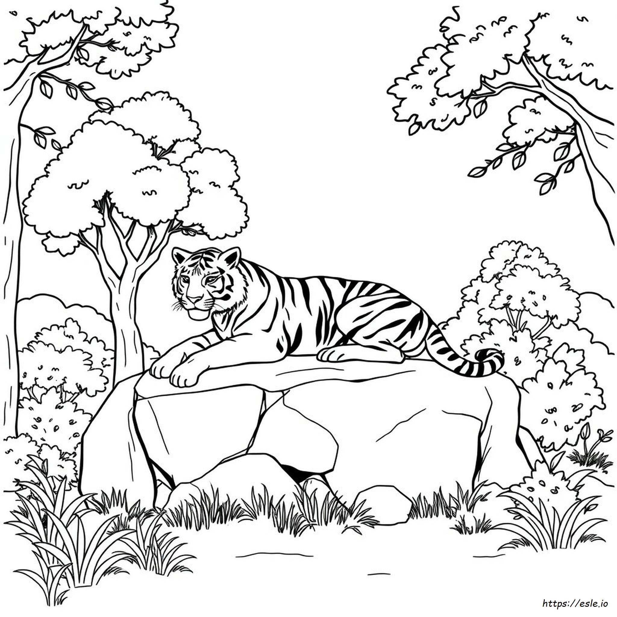 Tiger Colouring In Picture