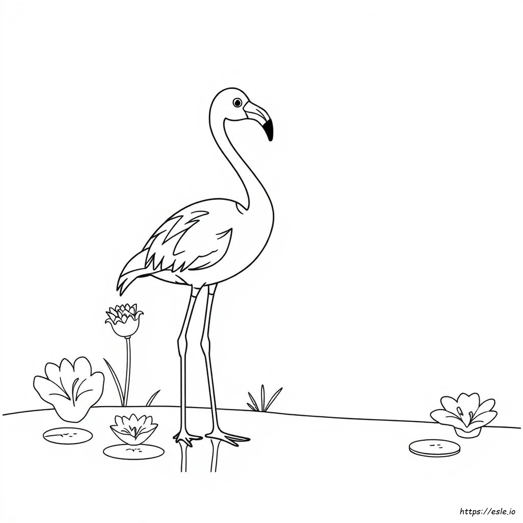 Flamingo Da Colorare Stampabili Gratis