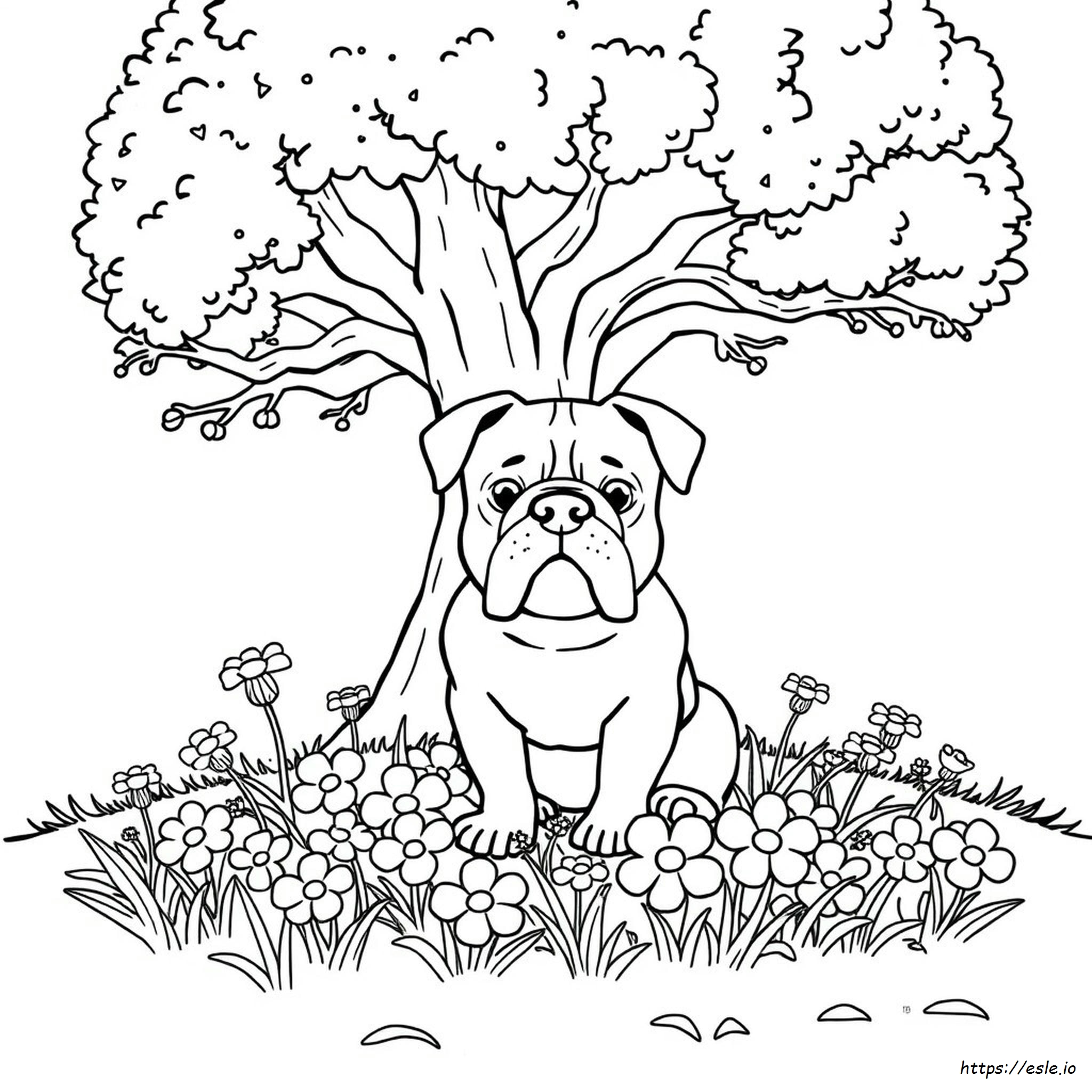 Bulldog Kleurplaat kleurplaat