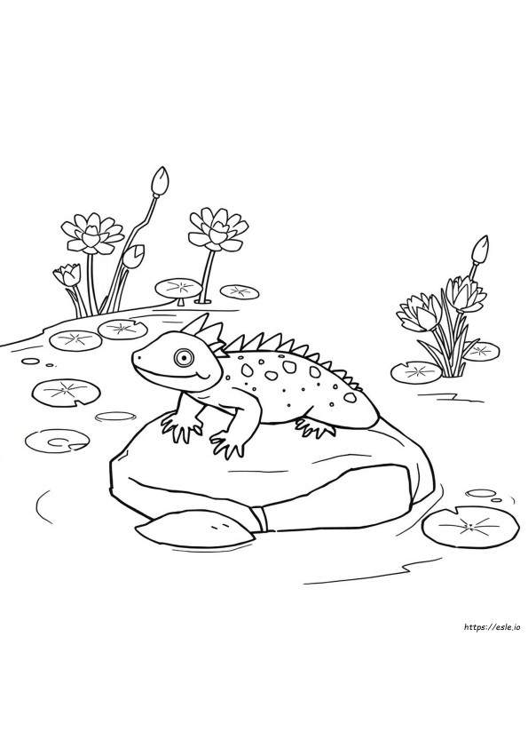 Axolotl Da Colorare - Ajolote Da Colorare E Stampare
