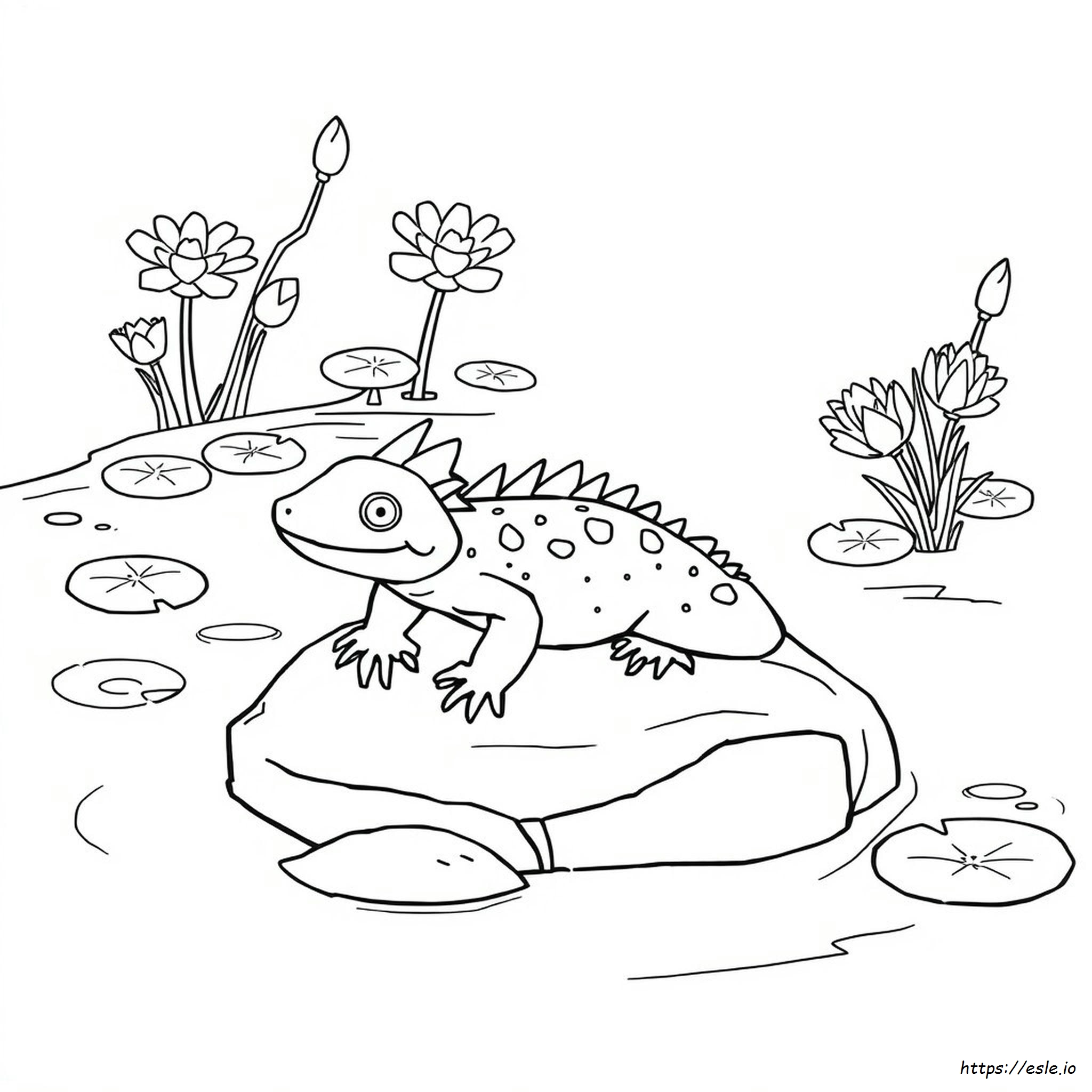 Axolotl Coloring Pages Ajolote Para Colorear