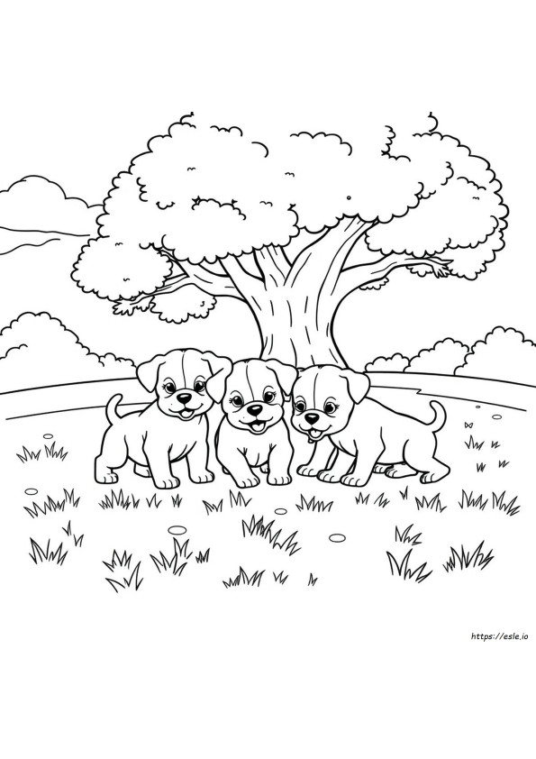 Puppies To Colour In