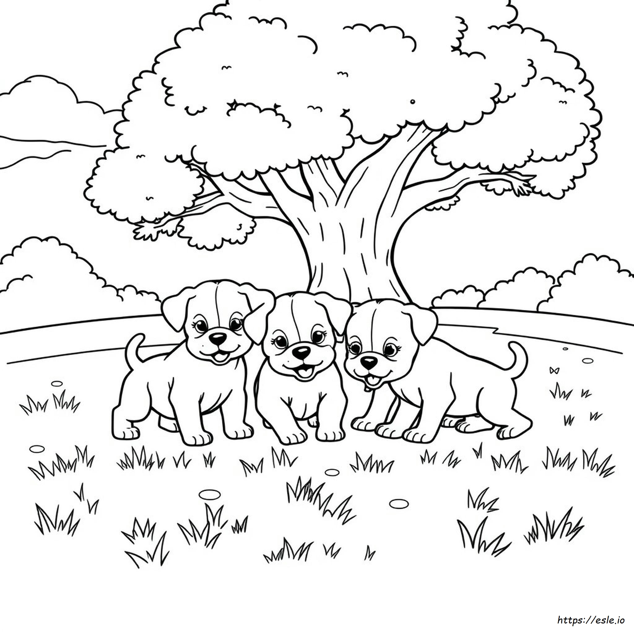 Cuccioli Da Colorare