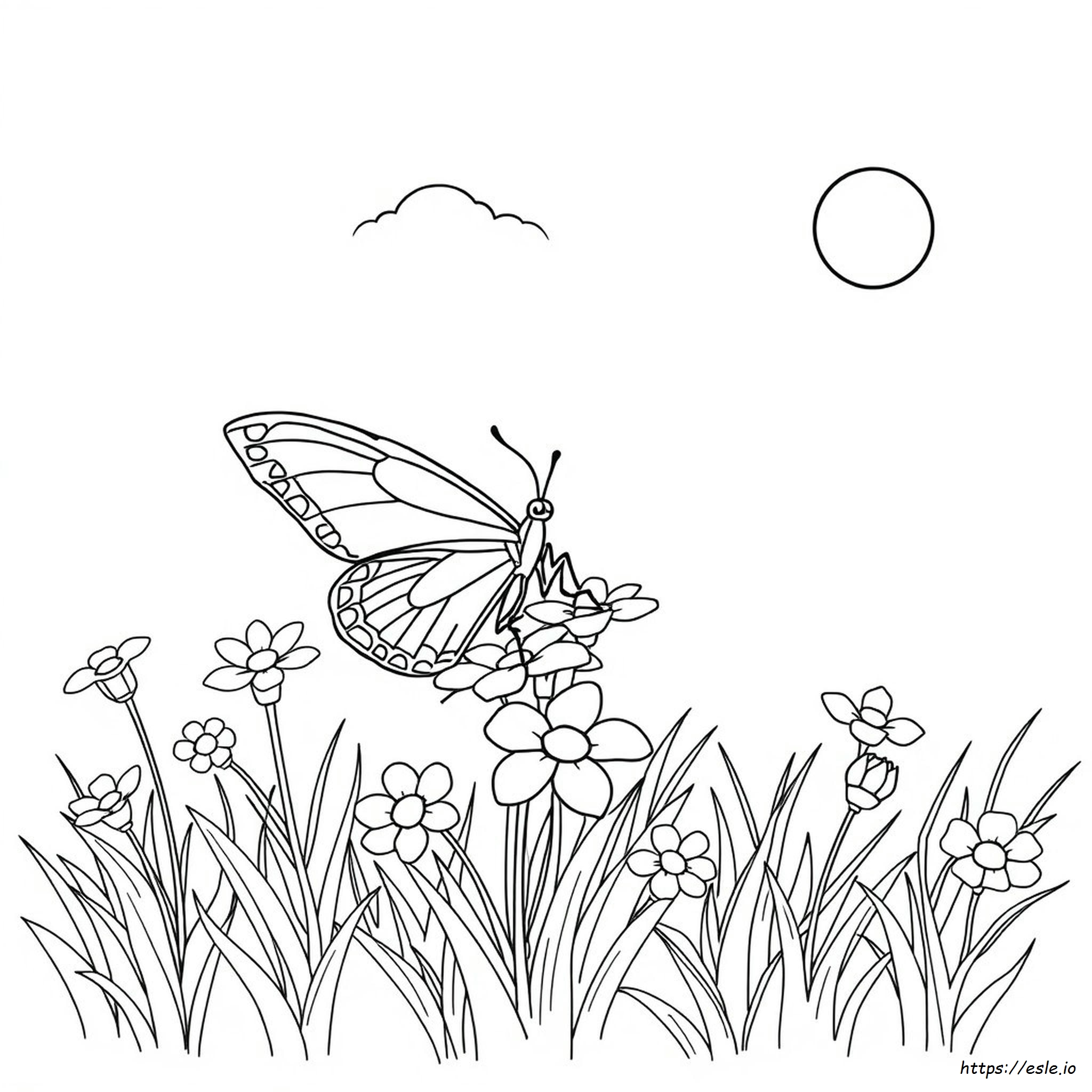 Free Butterfly Coloring Pages For Kids