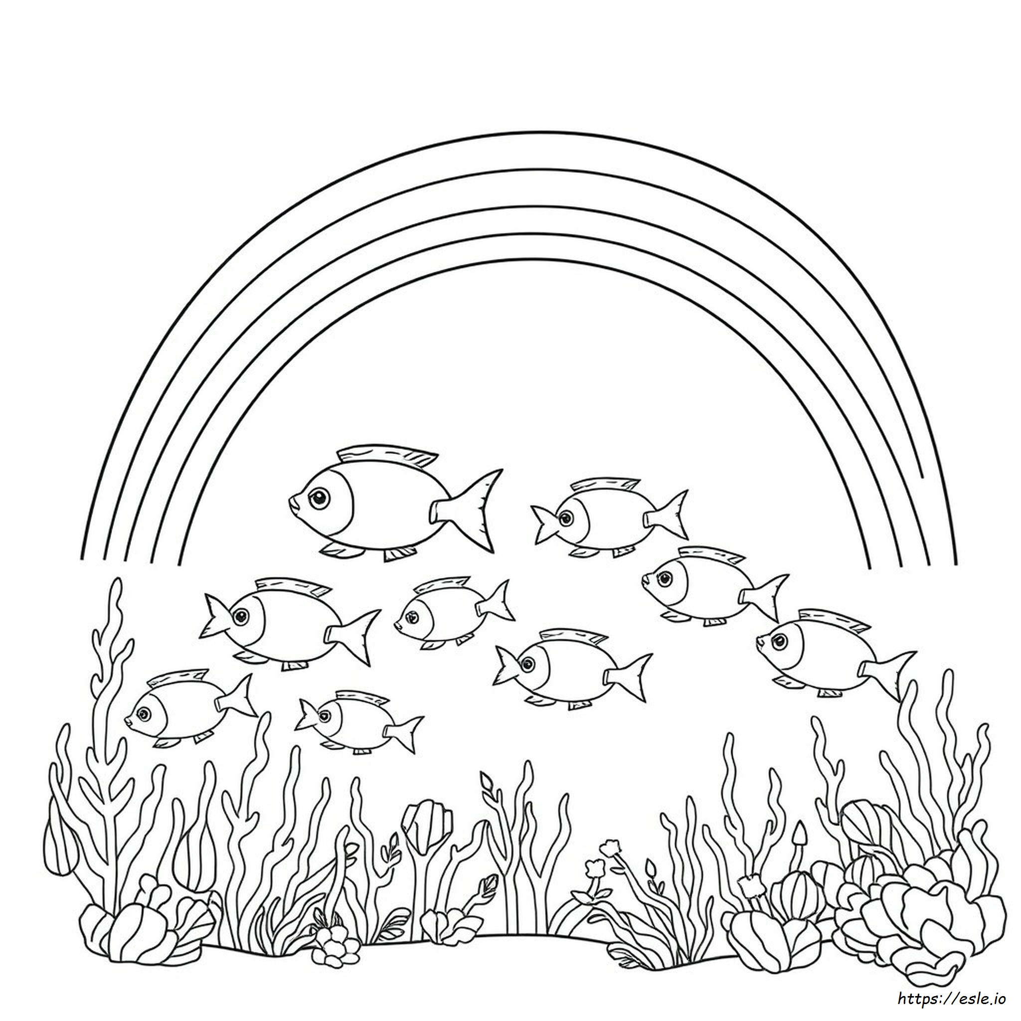 Template Rainbow Fish Coloring Page