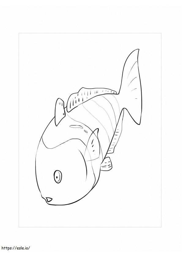 Awesome Rainbow Fish coloring page