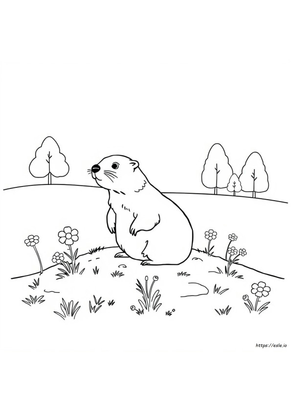 Groundhog Coloring Page