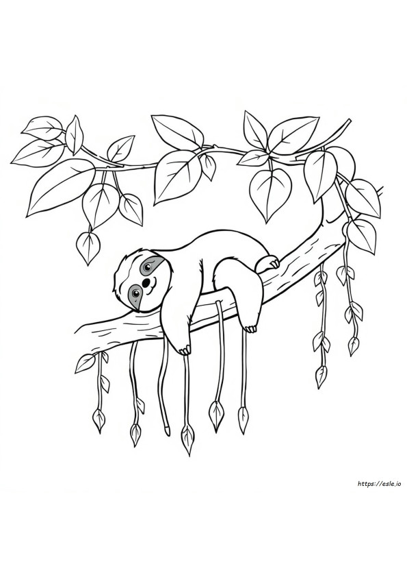 Páginas Para Colorear De Osos Perezosos Lindos Y Fáciles