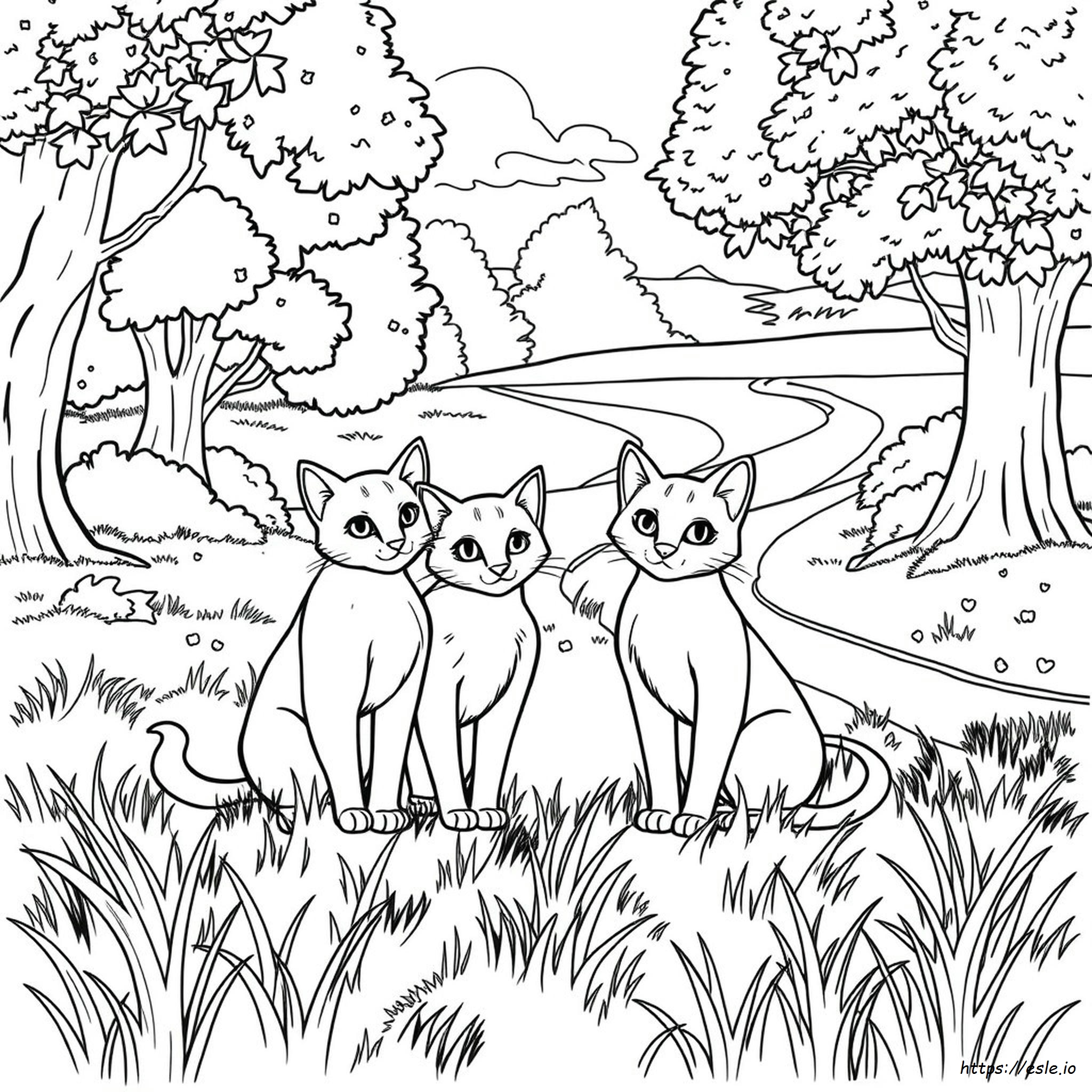 Warrior Cats Coloring Pages Free