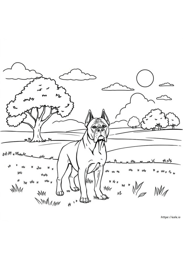 Coloriage Cane Corso