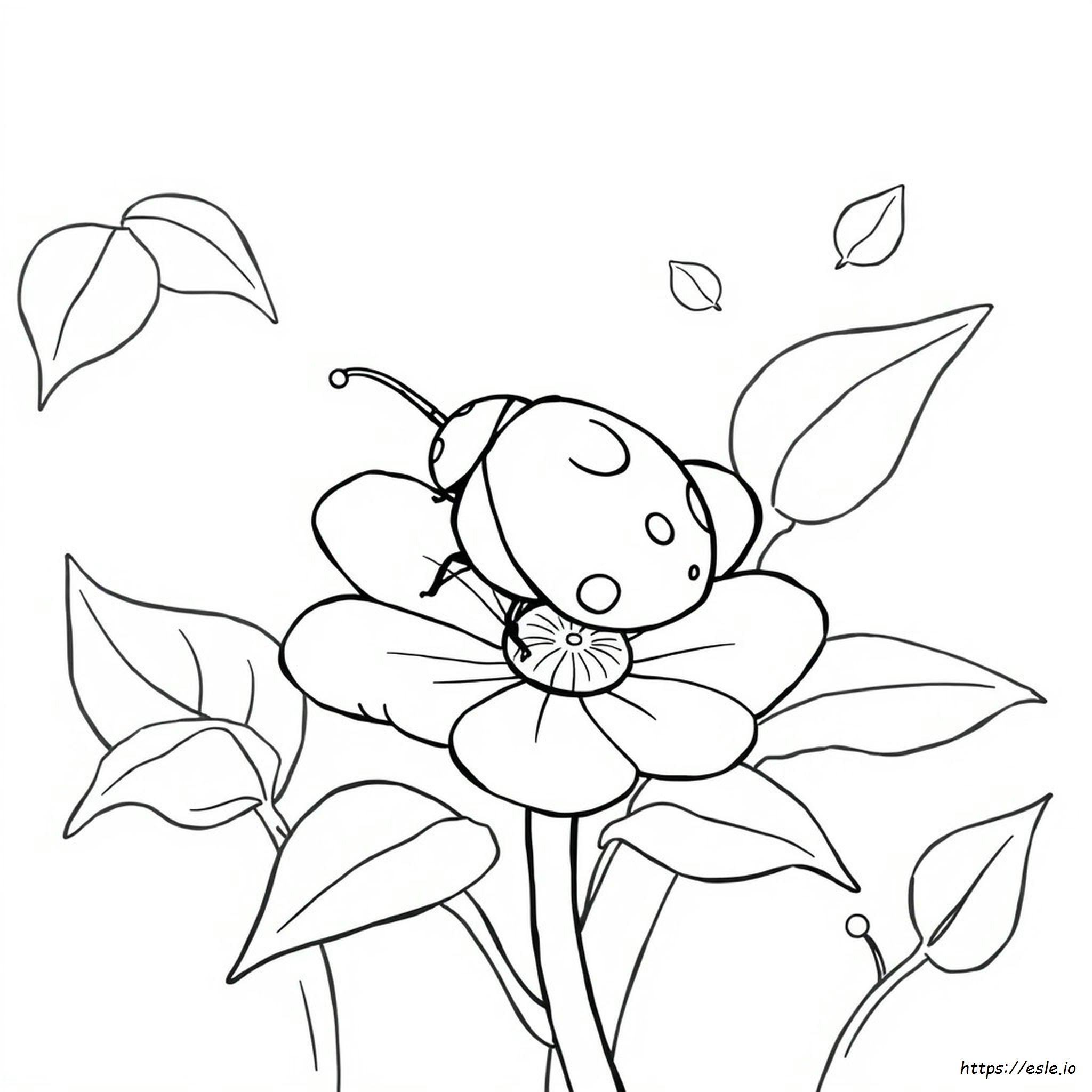 Come Colorare Una Coccinella