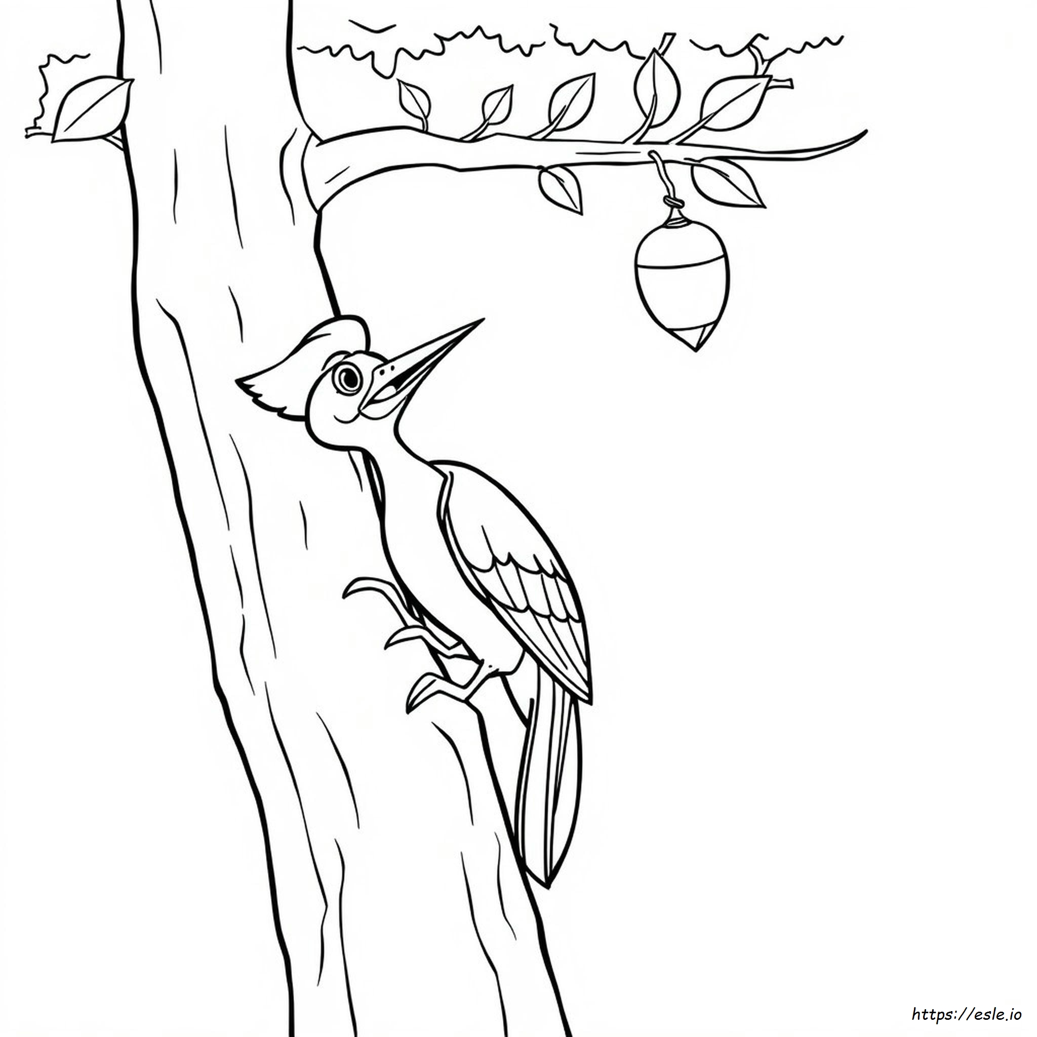 Woody Woodpecker Kleurboek kleurplaat