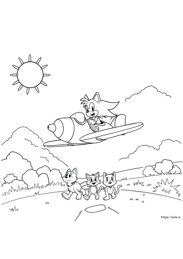 Sonic Amy Tales Coloring Pages