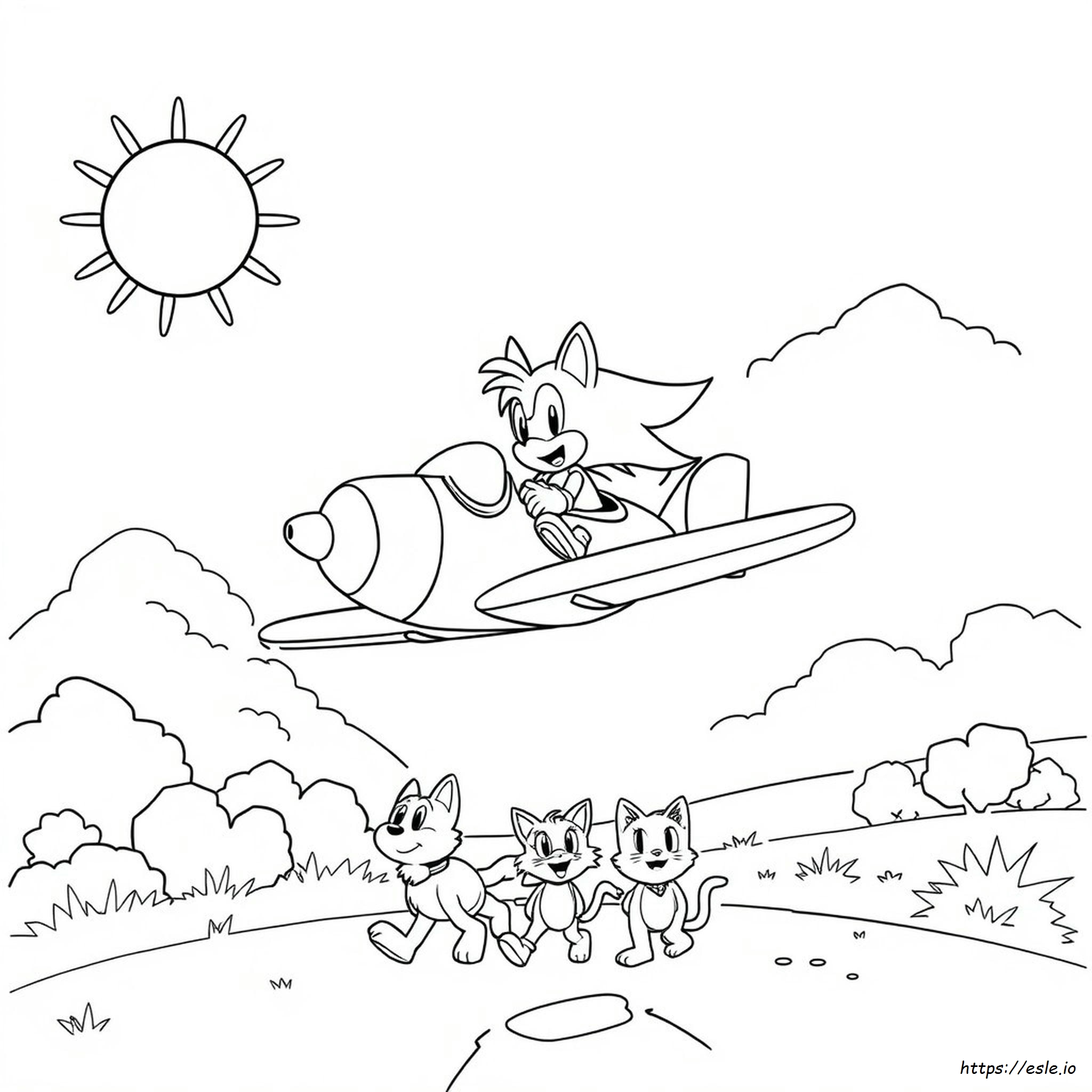 Sonic Amy Tails Kleurplaten kleurplaat