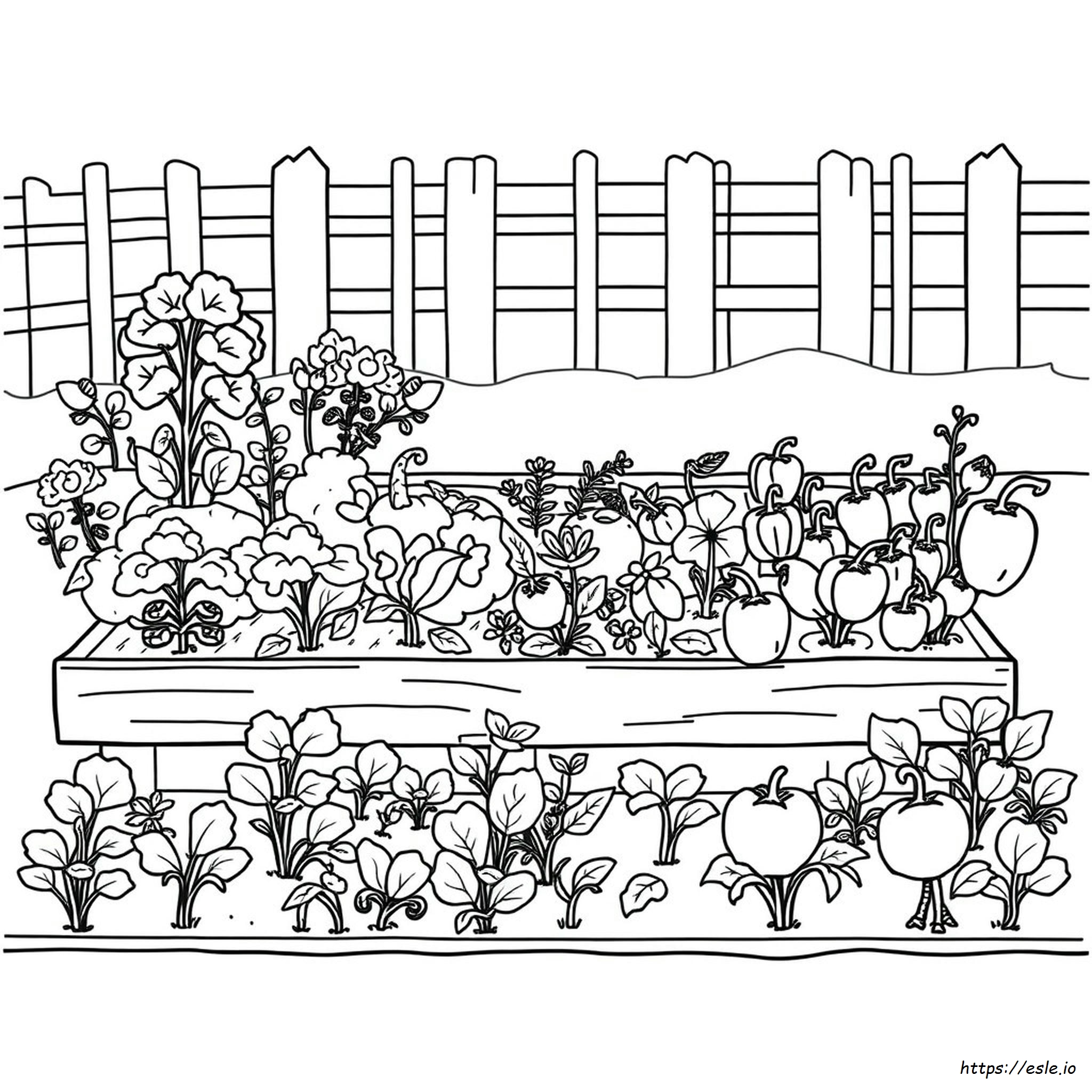 Vegetable Garden Template Coloring Page