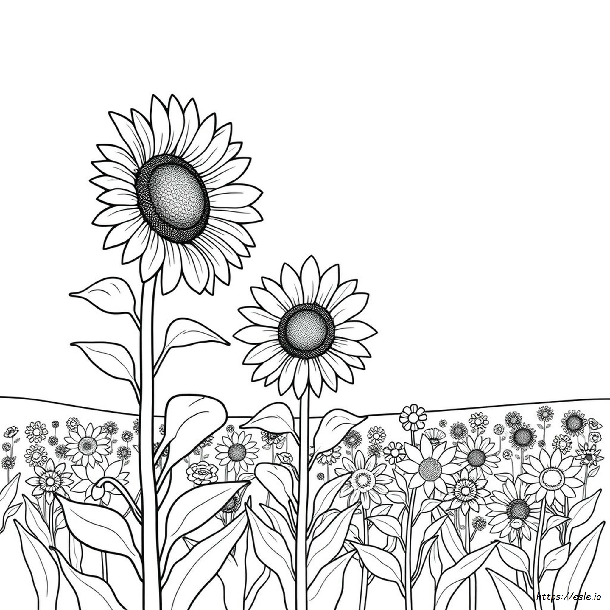 Kleurplaten Zonnebloem kleurplaat