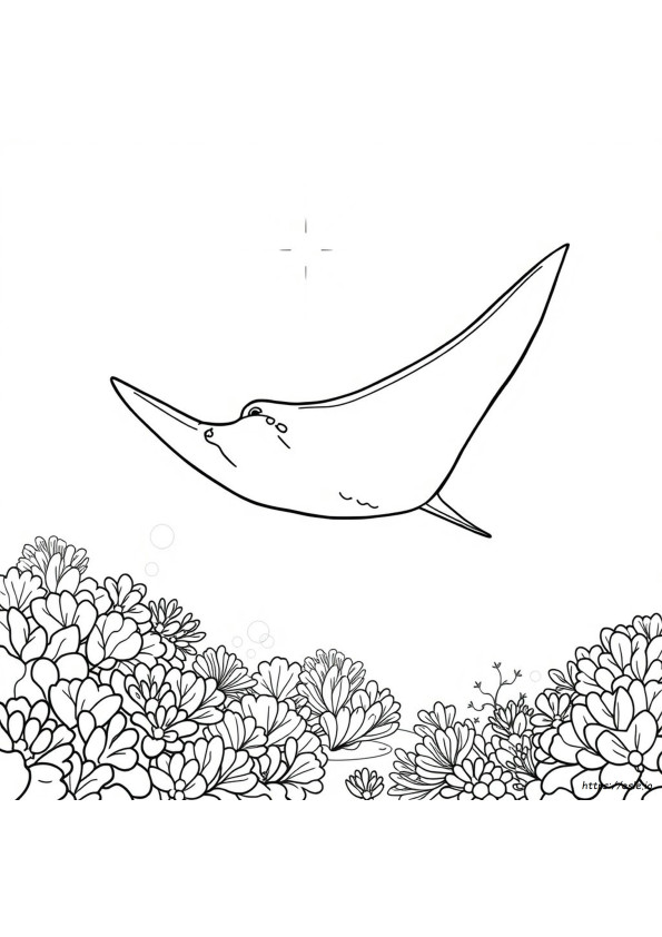 Coloriages Raie Manta À Imprimer