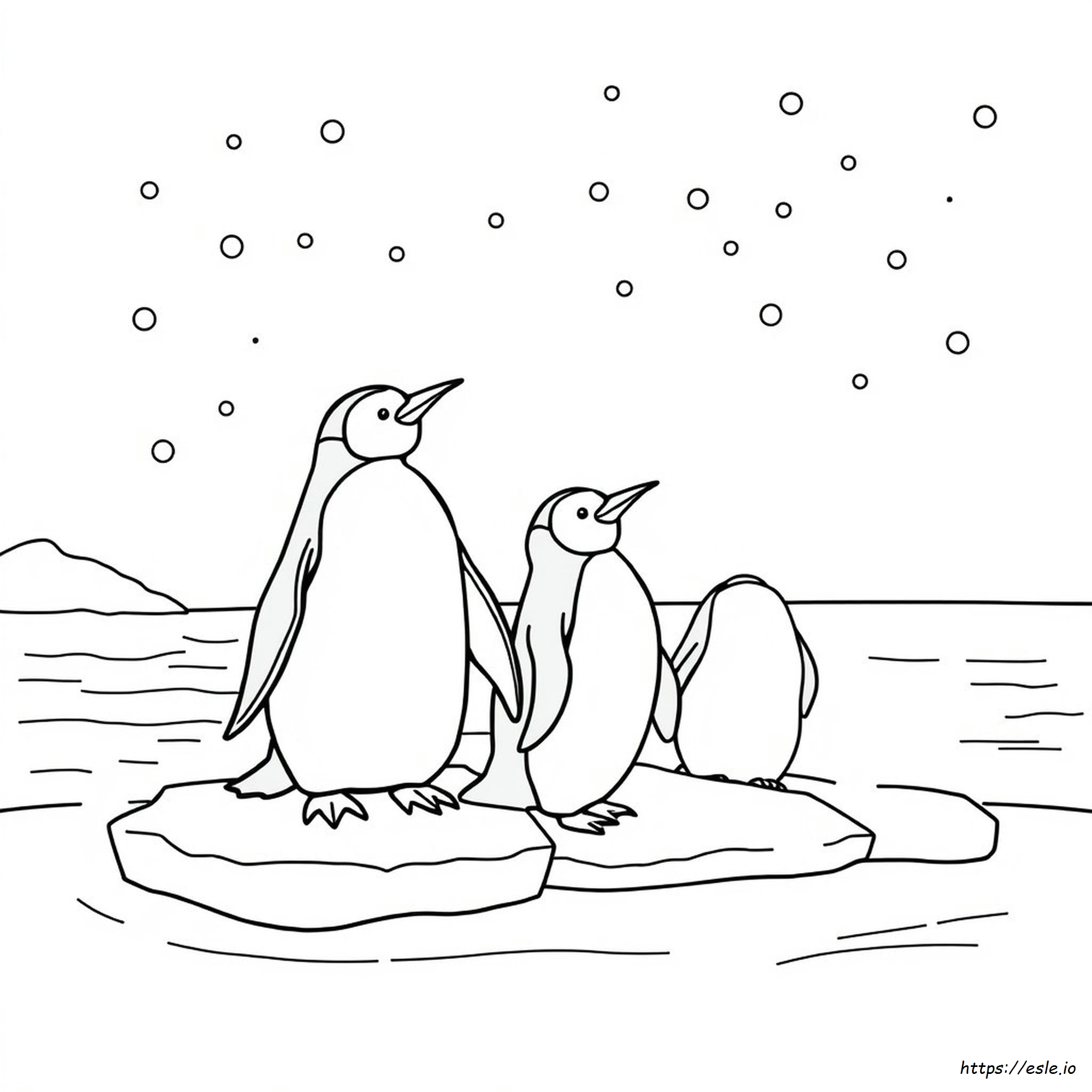 Penguin Coloring Pictures