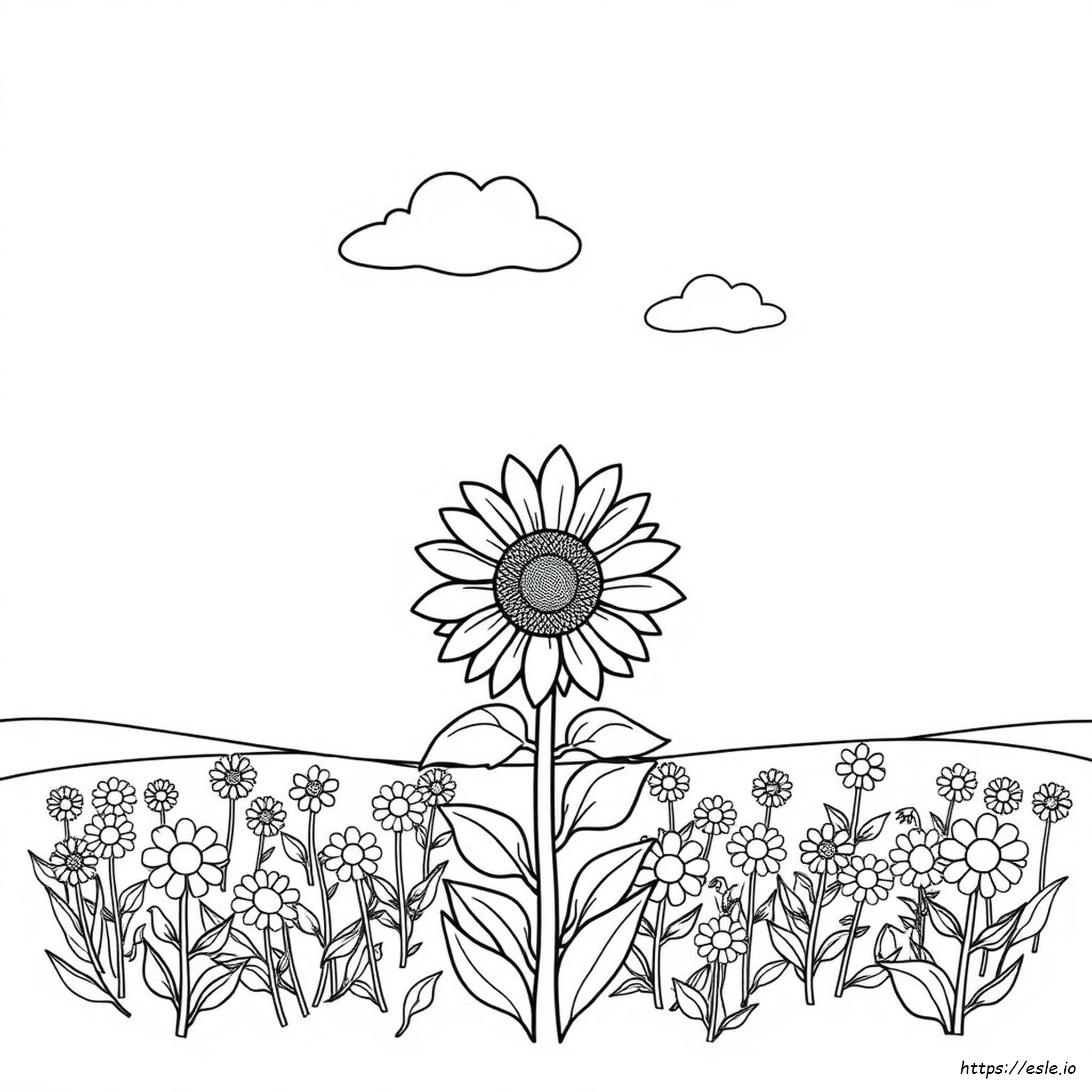 Sonnenblume Ausmalbild