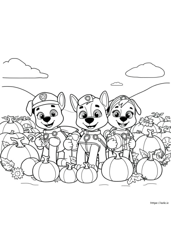 Coloriage Pat Patrouille Citrouille