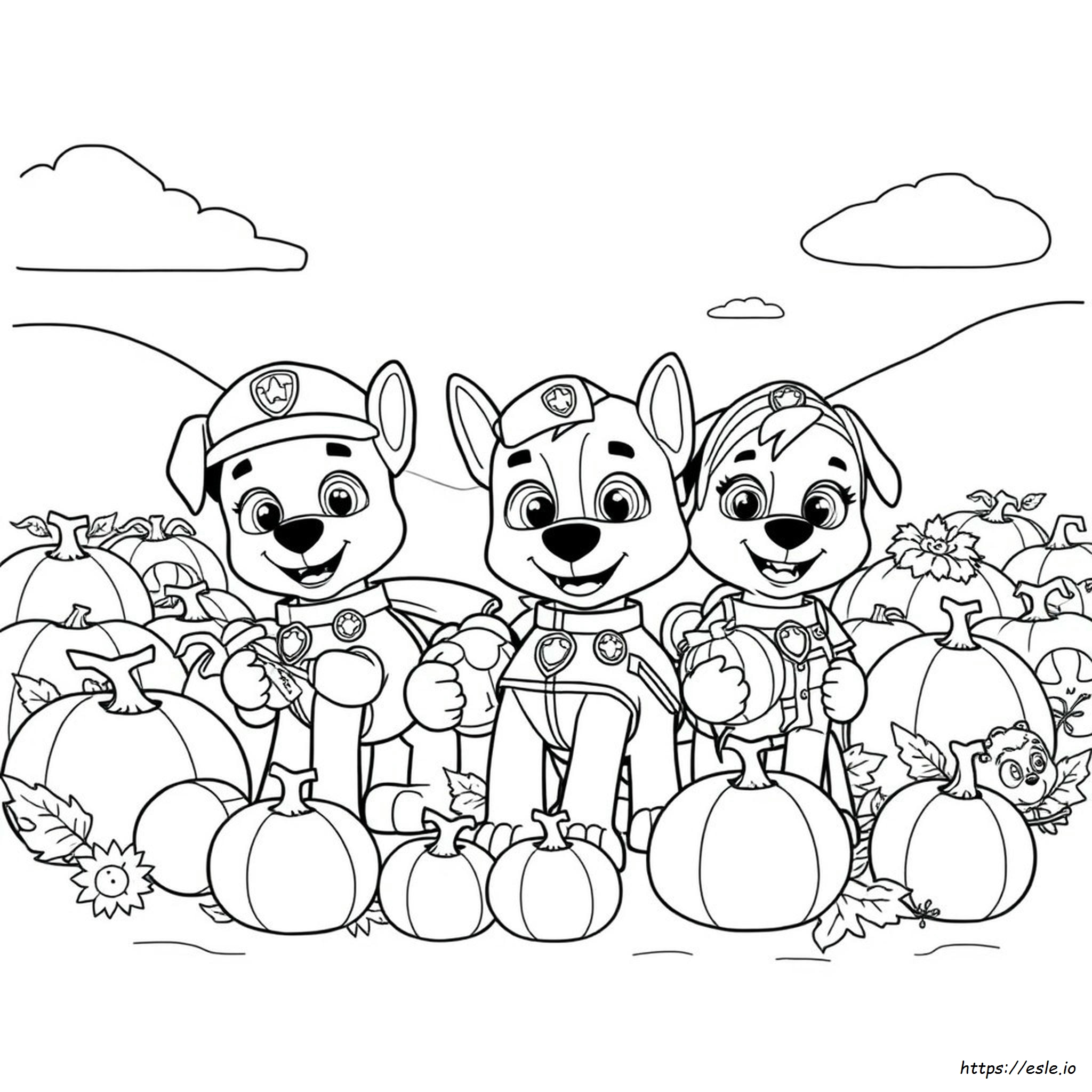 Paw Patrol Pompoen Kleurplaten kleurplaat
