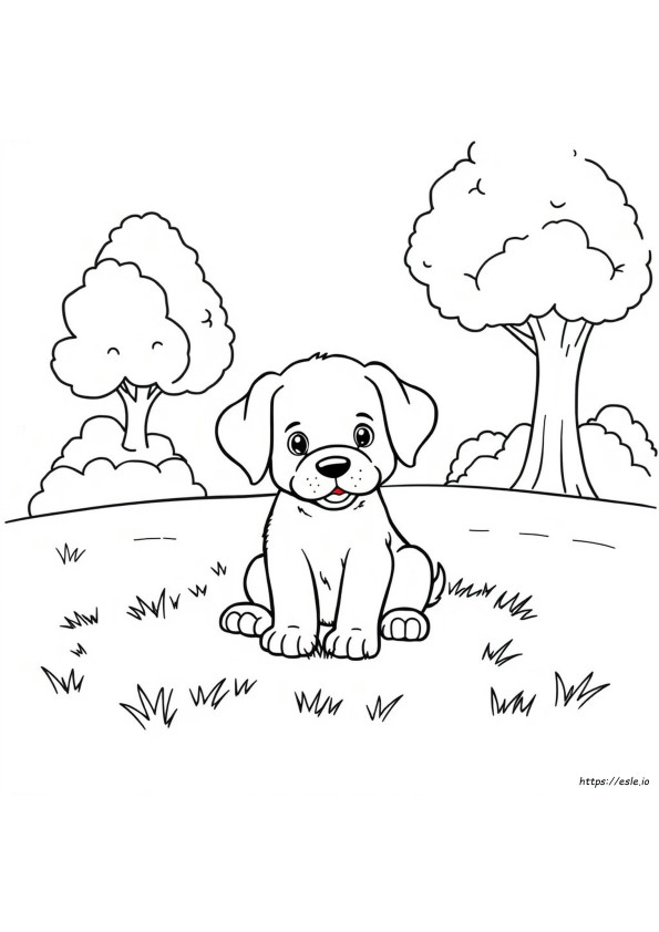 Puppy Coloring Sheet Free
