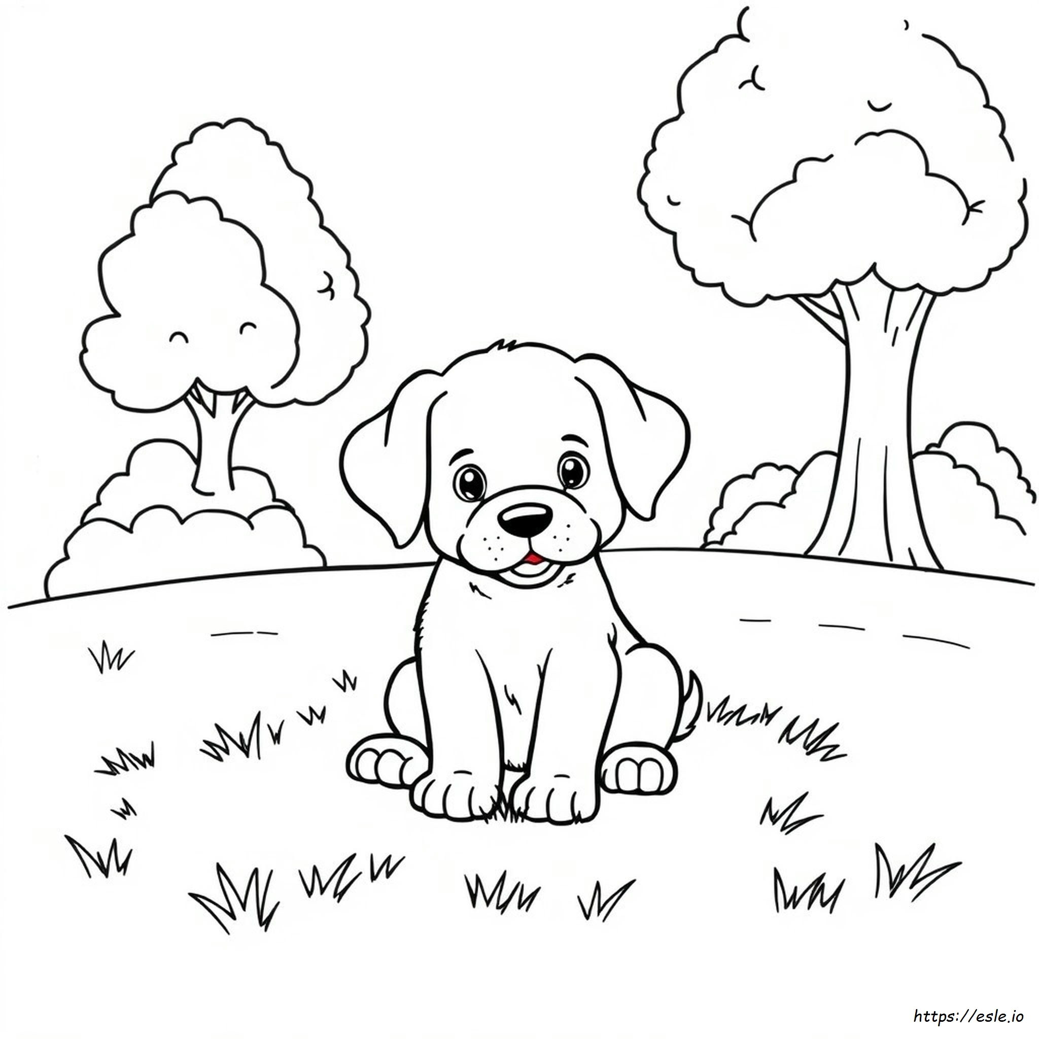 Puppy Coloring Sheet Free