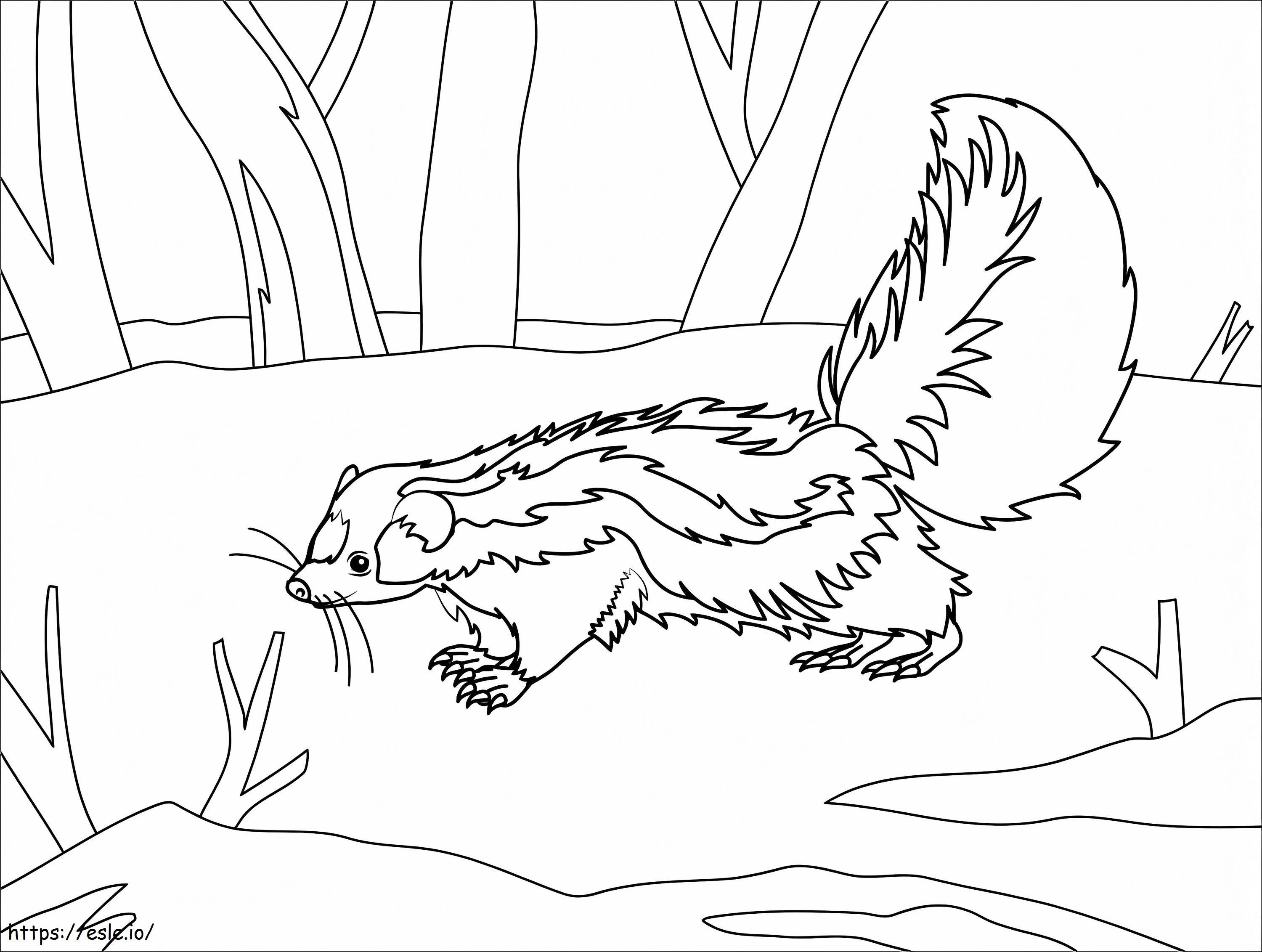 Skunk În Pădure de colorat
