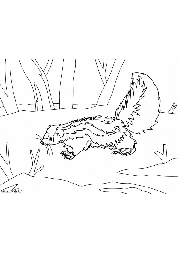 Skunk In The Forest coloring page