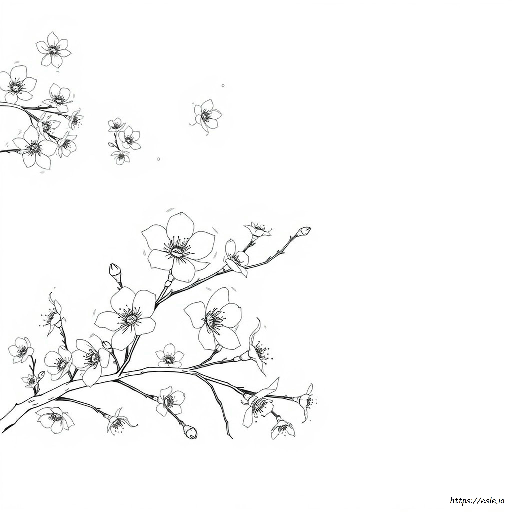Cherry Blossom Colouring