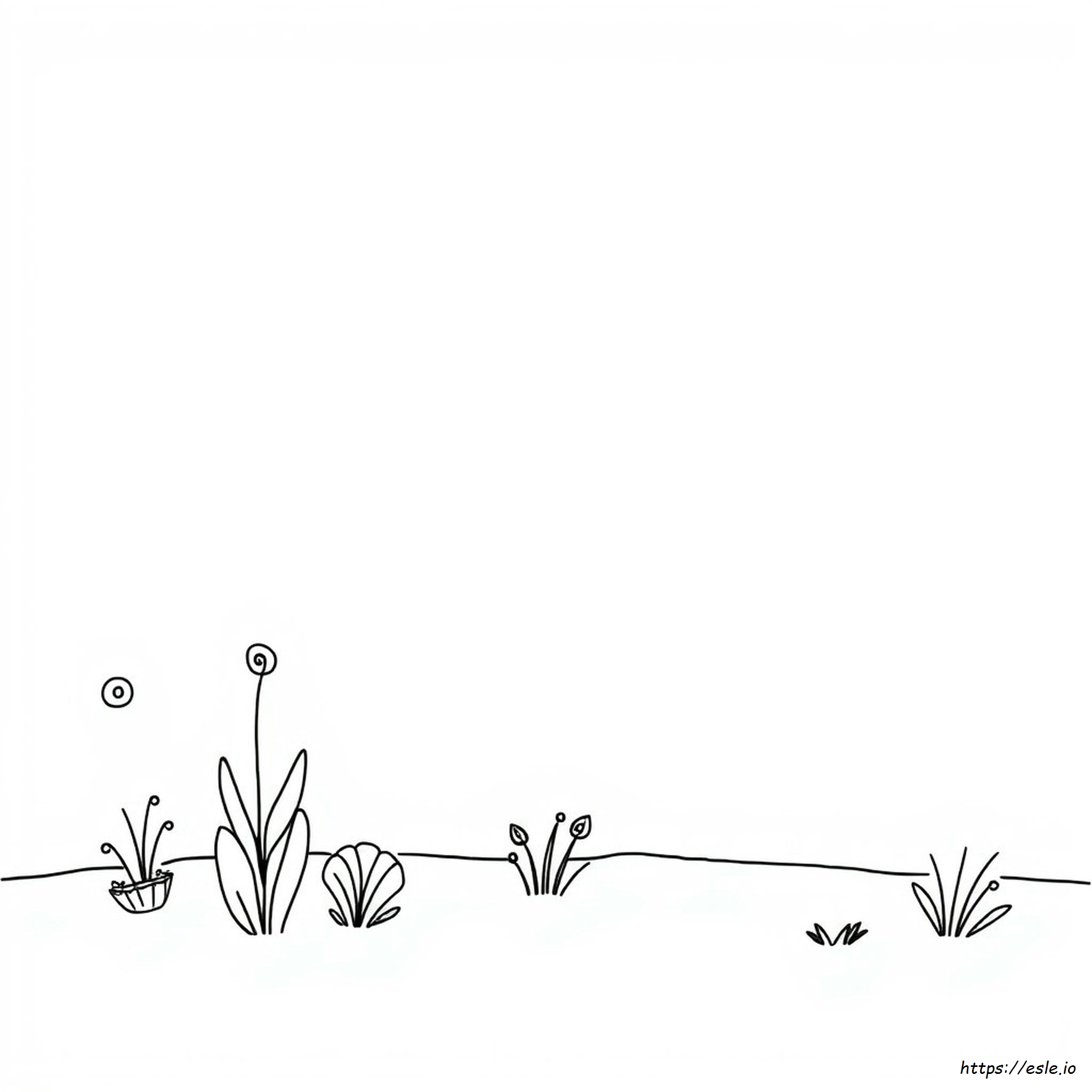 Zen Anti Stress Coloring Pages