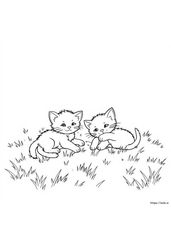 Kittens Kleurplaten Om Te Printen