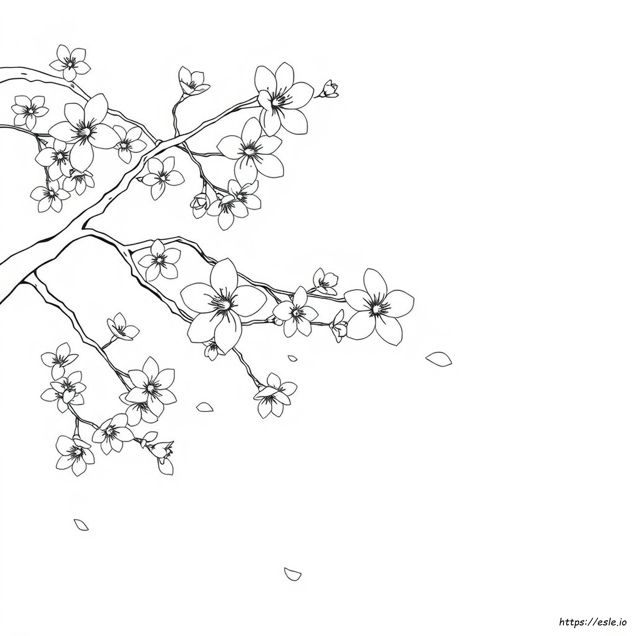 Printable Cherry Blossom Coloring Page