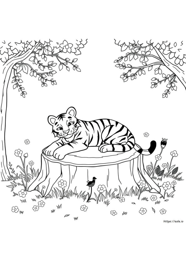 Disegni Da Colorare Di Tigri Carine Da Stampare