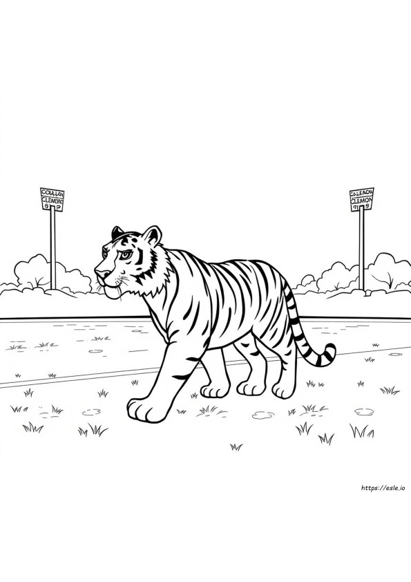 Tigre Clemson Da Colorare